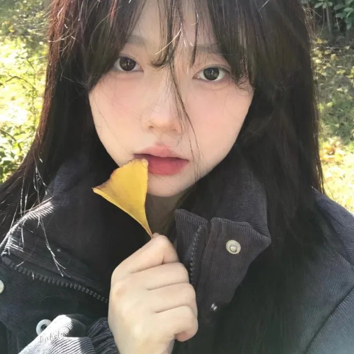 摩托日记